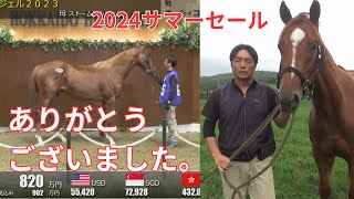 サマーセール2024 ありがとうございました。