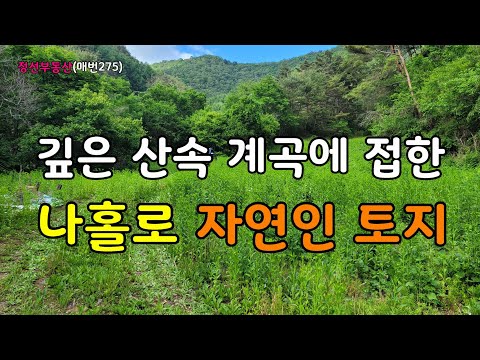 깊은 산속 계곡에 접한 나홀로 자연인 토지 / 정선토지박사