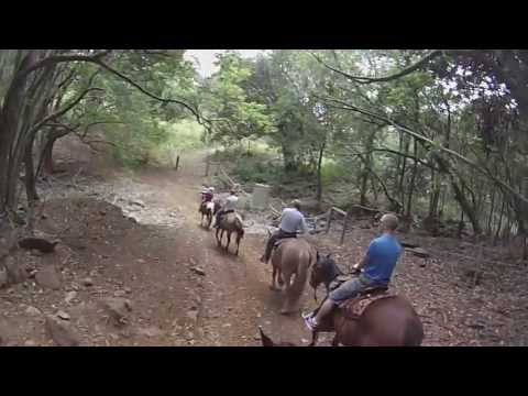 Maui Horseback Riding with Piiholo Ranch #GoPro #seeMaui