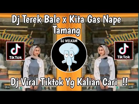 DJ TEREK BALE X KITA GAS NAPE TAMANG PLAT KT DJ VIRAL TIK TOK 2024 !!