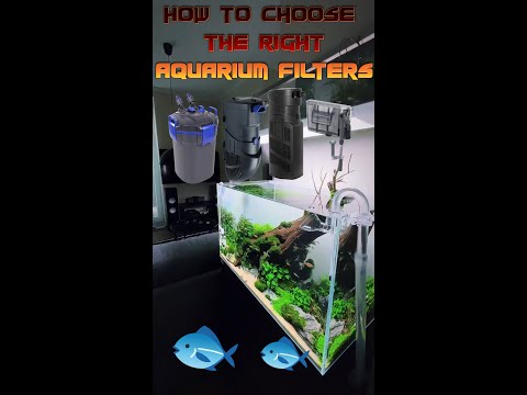 How to choose the right aquarium filters  🐙🪸 🐡 🐠 🐟