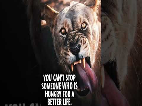 Lion Status // Lion King// Hd whatsapp status #shorts #short #lion #shortvideo #lionking #shortsfeed