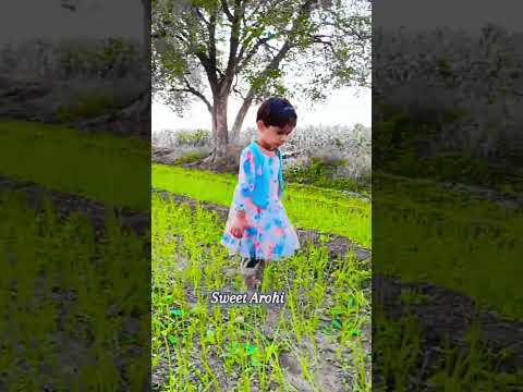 Subah hui sham hui#marathivedio#tradingvideo#marathividoes#marathimulgi#shortvideo#youtube#short#