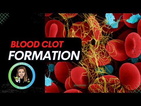 How does blood clot? |Extrinsic vs Intrinsic pathway