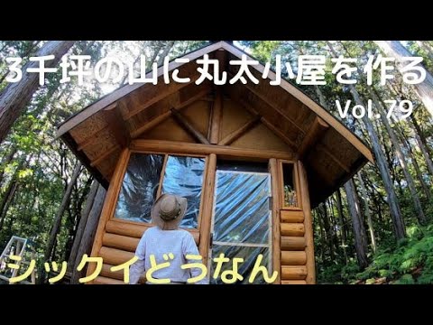 山開拓して丸太小屋を作るVol.79 漆喰ってどうなん