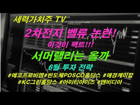 [주식 05.25] 2차전지 벨류 논란,이것이 진실,서머랠리는 올까,6월 투자 전략( #에코프로비엠#반도체POSCO홀딩스 #아이티아이즈 #앤비디아 #애경케미칼) #세력가치주