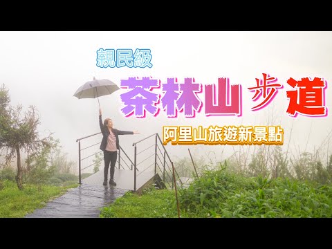 阿里山系『茶林山步道』雨中看景也可以，美麗等級不輸二延平步道