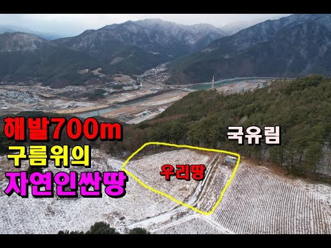 (정선첩첩산골)해발700m구름위 자연인싼땅/국유림송림속 마을맨끝막장땅/정선부동산매매/정선자연인/정선토지/북평면토지