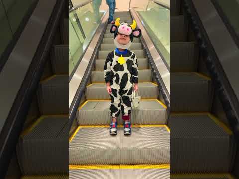 Small 😍😝child enjoying an independent #escalator ride