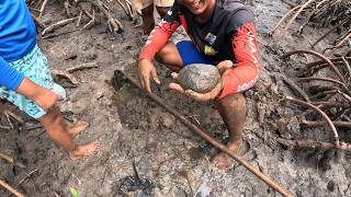 A find in the mangrove, an adventure during crab breeding (catch and cook)