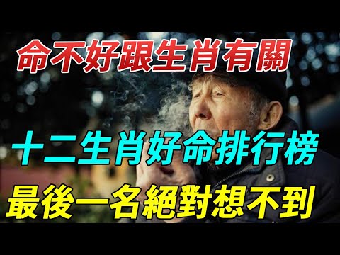 太準！十二生肖好命排行榜！命好不好跟生肖有很大關系！前幾名你絕對想不到！快來看看你的命怎麽樣！