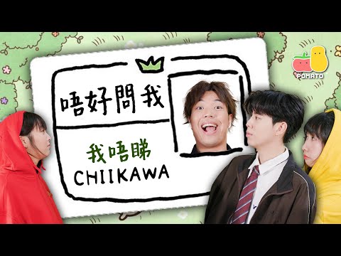 【Chiikawa】唔好問我！我從來唔睇Chiikawa 🙈｜Pomato 小薯茄