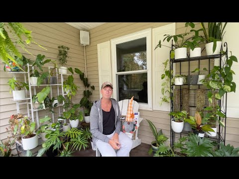 Moving my planty porch inside for winter :( | URBAN FARMBOYS