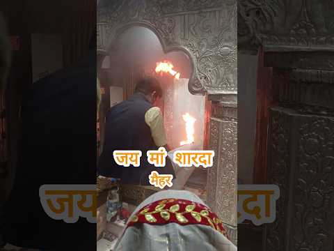 जय मां शारदा मैहर देवी.... #trendingreels #vaishnodeviaarti #maasarde #shortsfeed #viral #bhajan