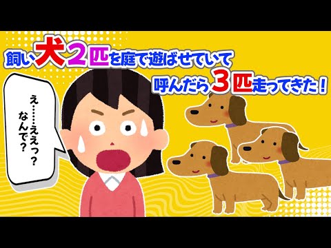 【2chほっこり】飼い犬２匹を庭で遊ばせていて呼んだら３匹走ってきた！