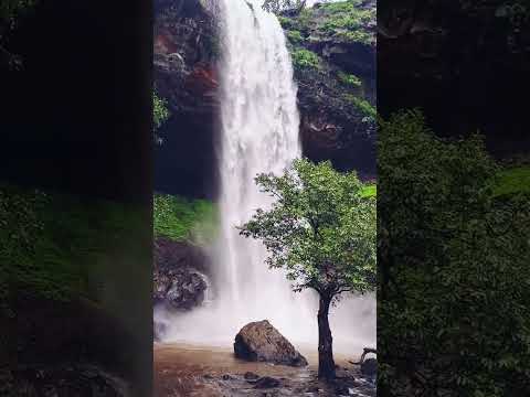 Majestic Vasundhara Waterfall, Bhandardara #shorts #youtubeshorts