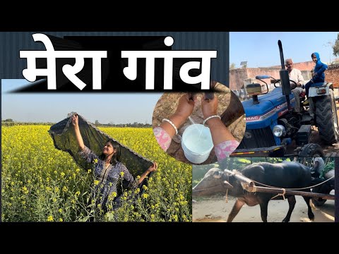 Main Chali apne Desi gaon | My Village tour 😃Home Tour | Village Vlog