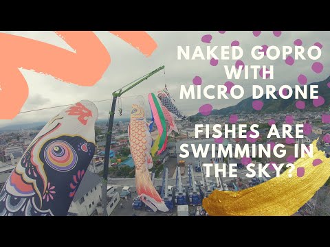 【Naked gopro】Fishes are swimming in the sky?