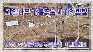 과수나무☆거름주는 방법