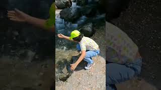 Kasol Parvati Wall 😍🤩 #shorts #fyp #viral #kasol #parvativalley #himachal #kids #happy #hp #ytshorts