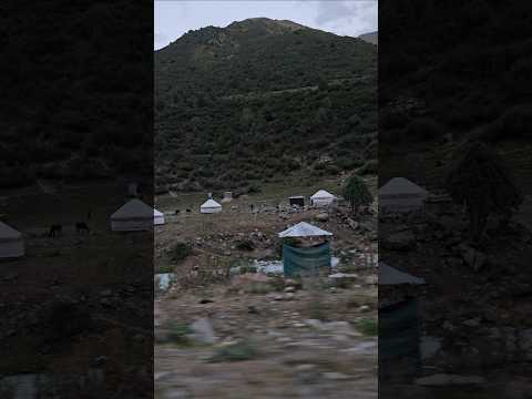 Kyrgyzstan Camping 키르기스스탄 게르 캠핑