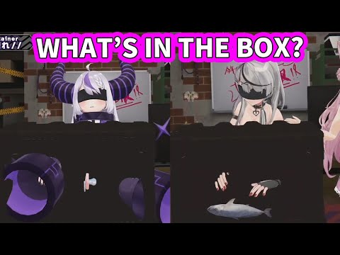 What's in the Box? holoX's hilarious Mystery Box Challenge [ENG Subbed Hololive]