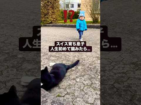 初めて猫見た反応が最高でした！#shorts #猫 #cat #love