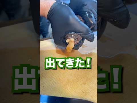 絶品珍味ナマコの捌き方が衝撃でした。