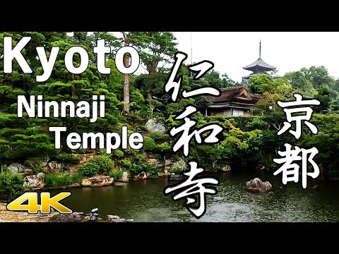 【4K】 Kyoto nInna-ji Temple  World Heritage National Treasure Temple