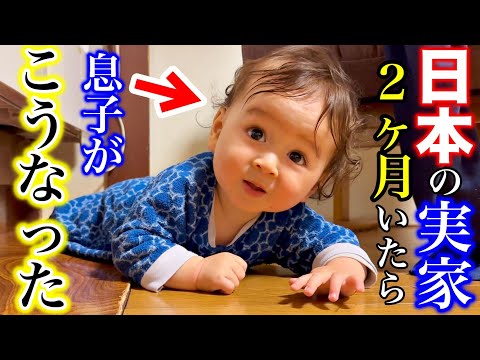 A day in the of Japanese-Swiss baby in Japan | funny baby