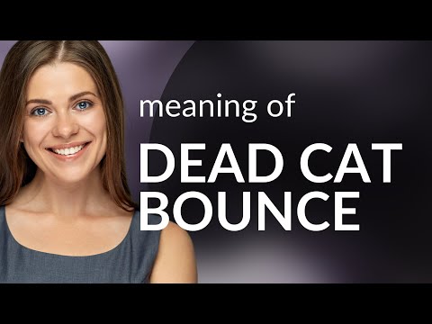 Understanding the Phrase "Dead Cat Bounce" in English