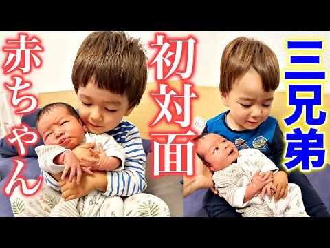 Big brother meets baby brother for the first time! Japanese-Swiss family