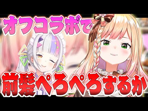 どうしても紫咲シオンの新衣装をﾍﾟﾛﾍﾟﾛしたい桃鈴ねねのマブダチクリパ計画【ホロライブ/切り抜き】