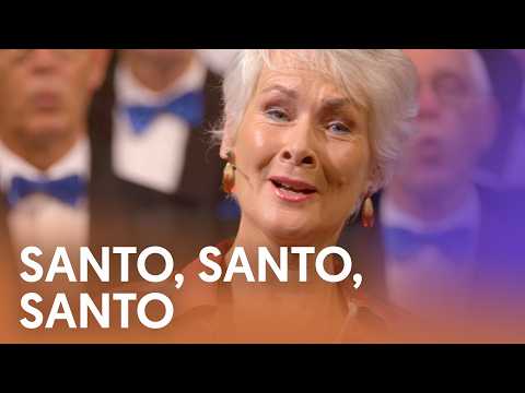 Santo - Nederland Zingt