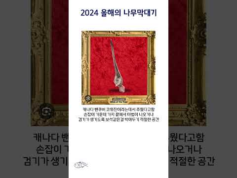 2024 올해의 나무막대기 #shorts