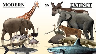 Prehistoric vs Modern Ancestor Animals Size Comparison