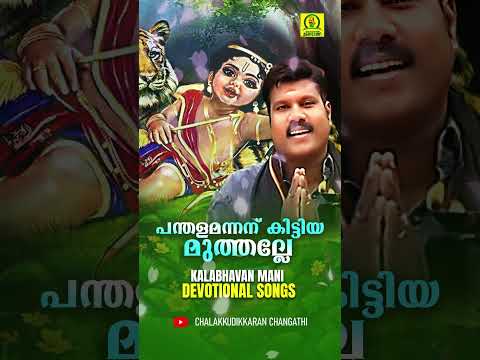 പന്തളമന്നന് കിട്ടിയ മുത്തല്ലേ | #superhitayyappadevotionalsong | #kalabhavanmanidevotionalsong