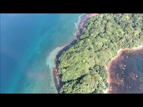 福井県水島