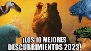 ¡TOP 10: LOS MEJORES DESCUBRIMIENTOS DEL 2023!