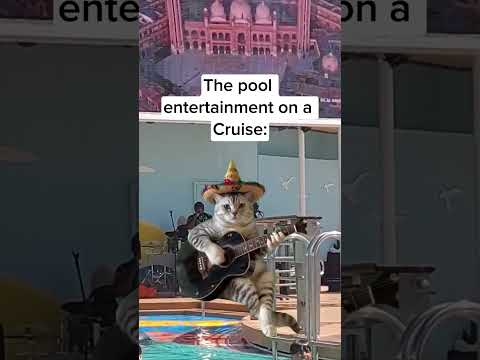 Pool side and music goes hand in hand on a Cruise! 😂🛳 #cruisememe #cruisepool #pooldeck