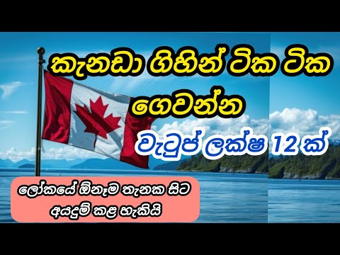 කැනඩා ගිහින් ටික ටික ගෙවන්න. මාසික වැටුප ලක්ෂ 12 කි laundry worker foreign job vacancies in canada