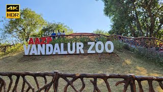 4K | VANDALUR ZOO | Arignar Anna Zoological Park | Vandalur,Chennai | Chennai ZOO