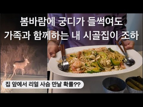 드디어 온가족이 함께하는 내 시골집 조하! / 슬슬 봄바람에 발동 걸리는 도시 좋아하는 시골 아주메 / 외식 따라잡기 파스타