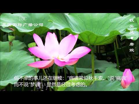 《文学欣赏》第6集《钗头凤·唐婉》编导：禹昌夏，美国国际广播公司2015年摄制。