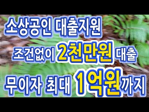 소상공인 대출지원으로 조건없이 2천만원대출, 무이자 최대 1억원까지 받을 수 있습니다