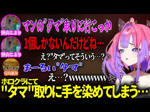 【#ホロクラ】エンダーマンの“タマ”を求めて後輩を巧みに誘導⁉ 博衣こより＆音乃瀬奏の先輩組と後輩組のドタバタ奮闘記【#ホロライブ切り抜き/#綺々羅々ヴィヴィ #flowglow #マイクラ】