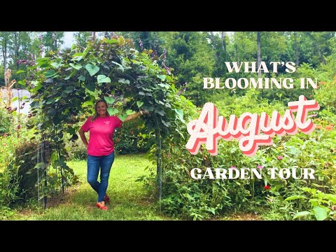 End-of-Summer Blooms & Full Garden Walkthrough | August Edition | The Southern Daisy