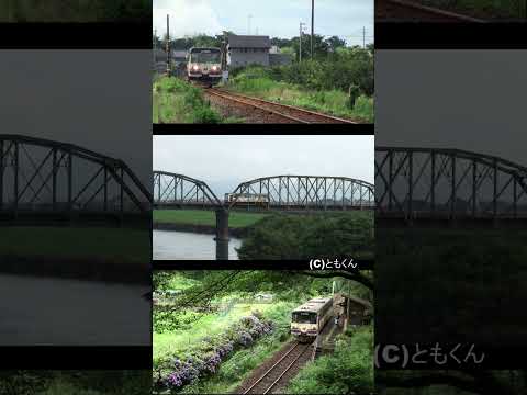 樽見鉄道を走る　長良川鉄道ナガラ10　その２