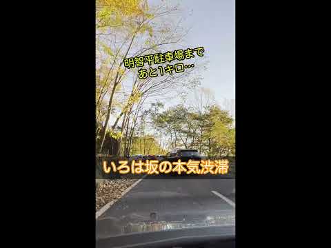 観光客殺到の日光いろは坂！大渋滞はいつどこで始まる？ #日光 #渋滞 #いろは坂 #紅葉 #観光