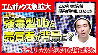 エムポックスの急拡大｜強毒型1bと性産業が背景に｜異性愛者間の感染リスク｜#エムポックス #公衆衛生 #健康啓発 #感染症 #WHO